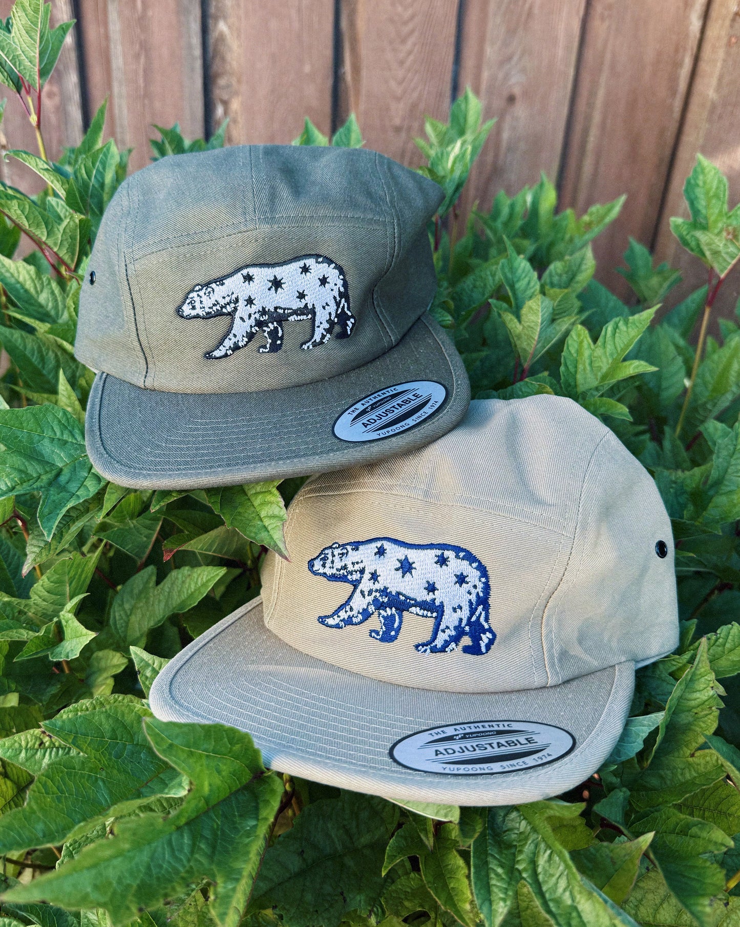 Star Bear Hat