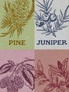 5x7 Botanical Print Pack
