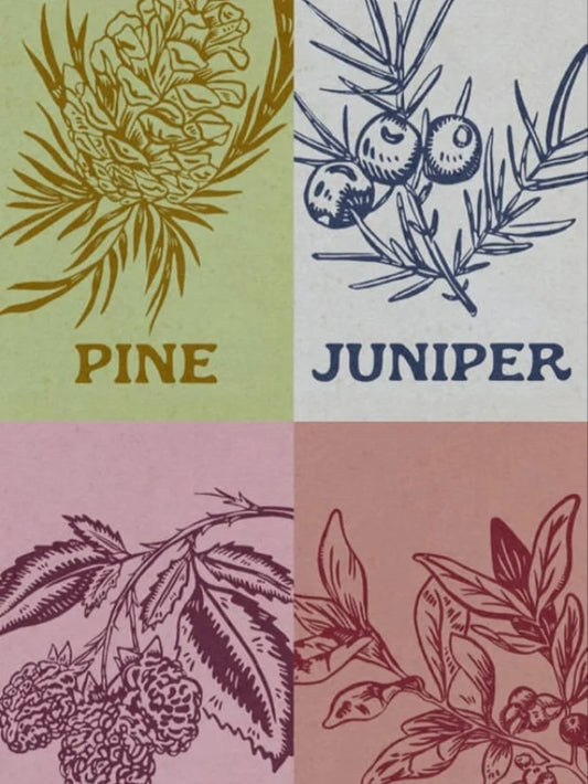 5x7 Botanical Print Pack