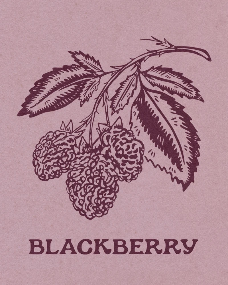 11x14 Blackberry Print