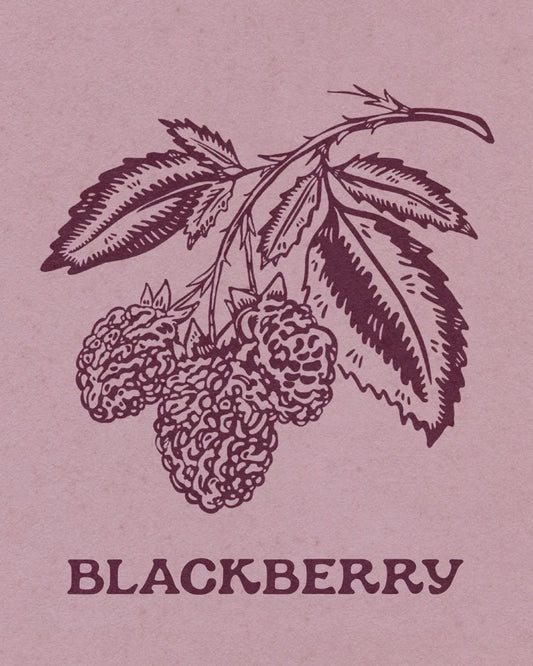 11x14 Blackberry Print