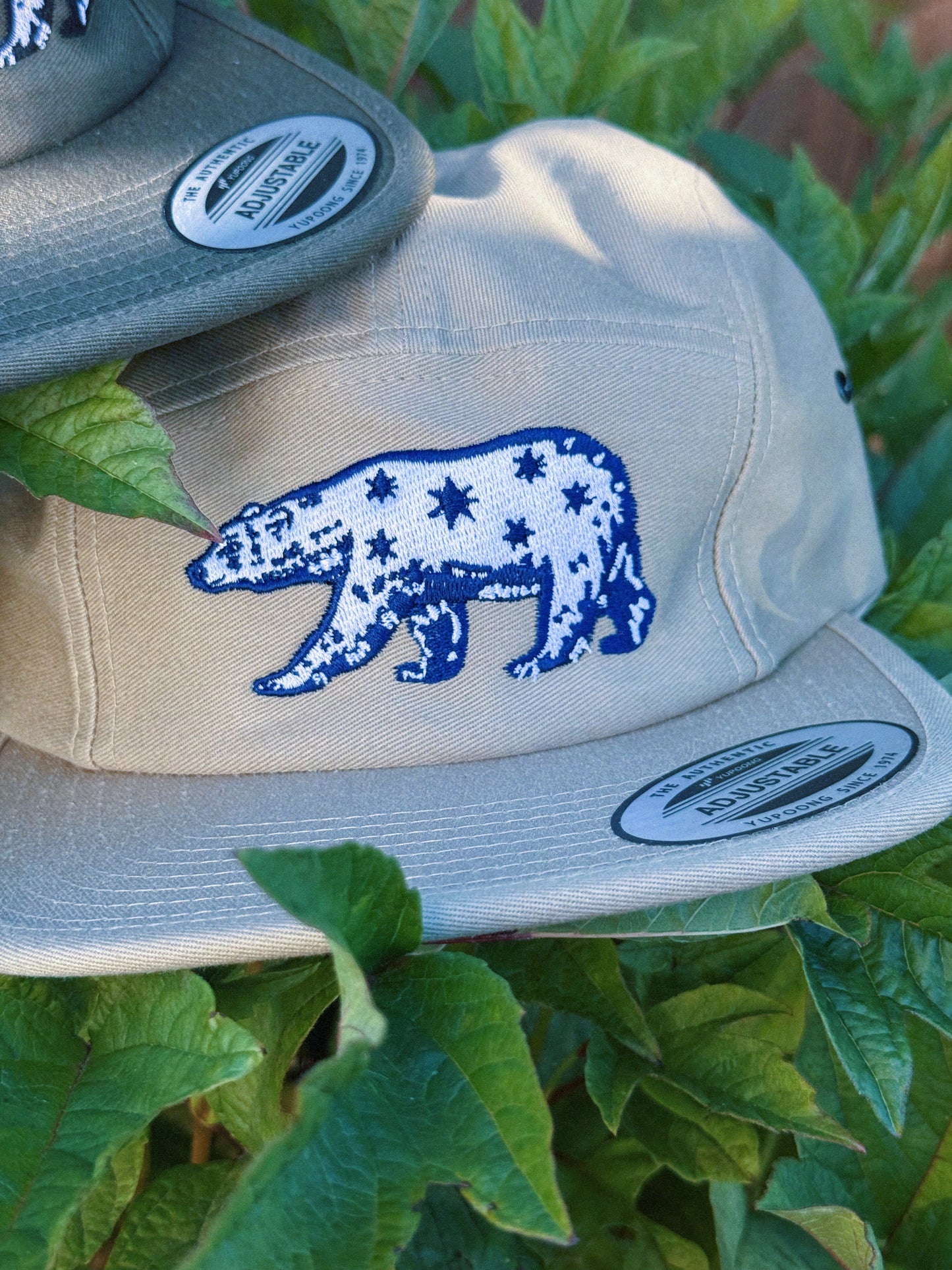 Star Bear Hat