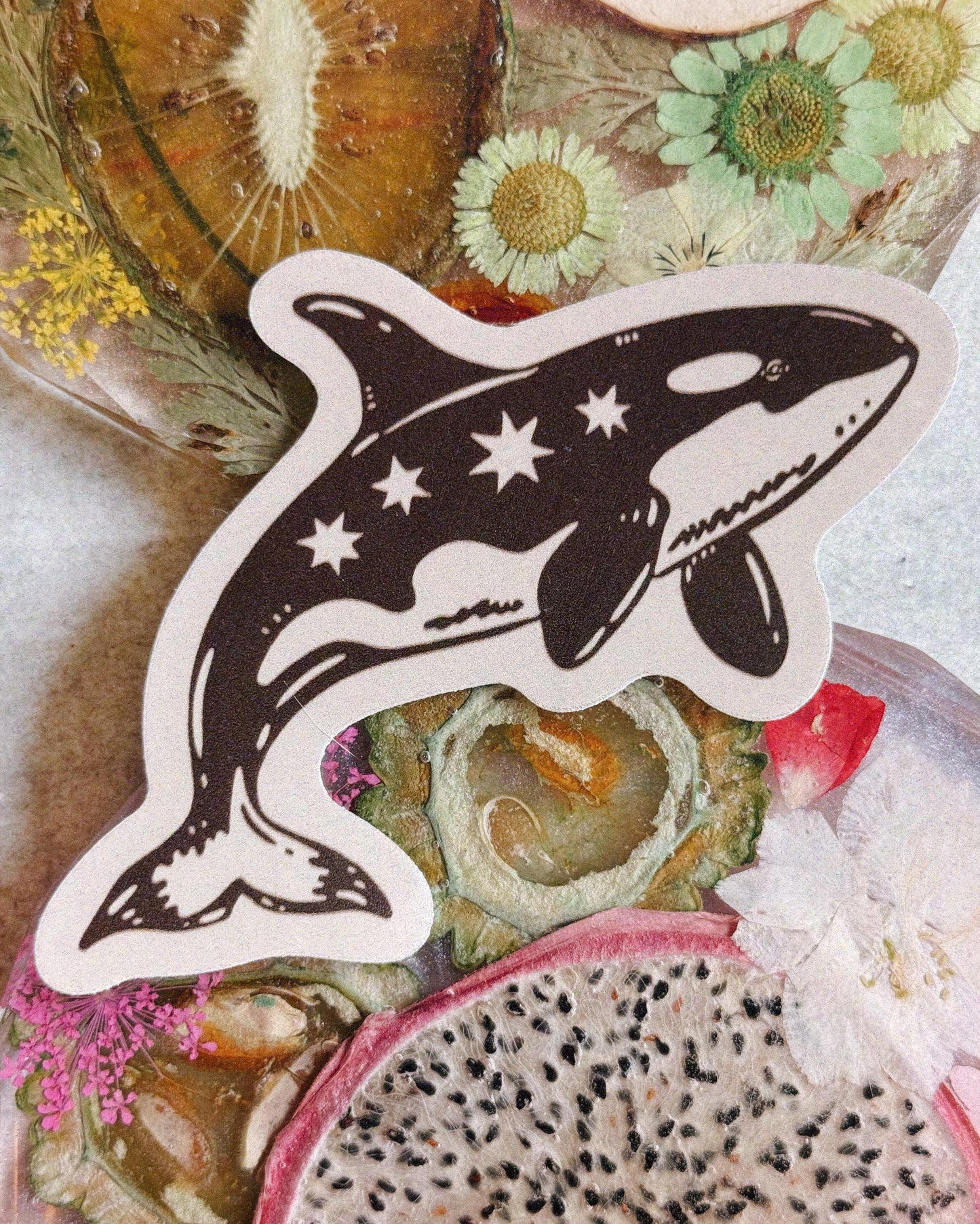 Critter Constellations Stickers