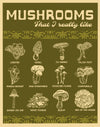 Illustrations of various mushrooms with labels on a green background