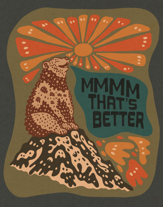 8x10 Sunshine Bear Print